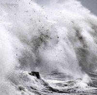 Ужасът е голям: Броят загинали от тайфуна „Хагибис“ в Япония нарастна до 19 души