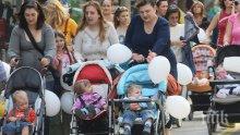 Бисер Петков иска от Горанов още 50 лева за майчинство