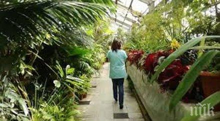 съкровища ботаническата градина бан пази растения свидетели две войни