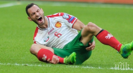 нов проблем лъвовете