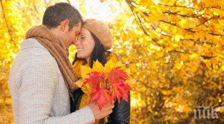 каква твоята любовна орис зодията