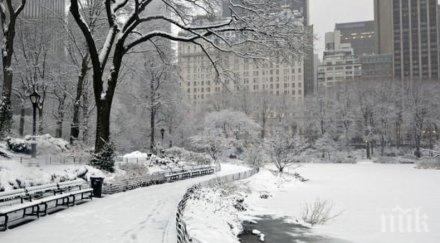 северна дакота снежен капан половин метър сняг