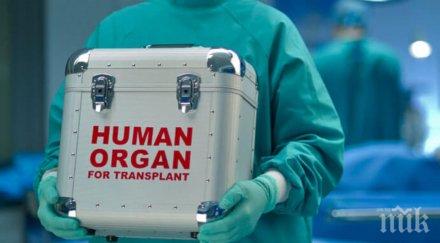 трансплантираха четири органа един пациент наведнъж