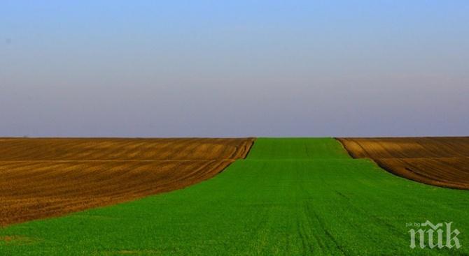 Започна есенната сеитба в Добричко