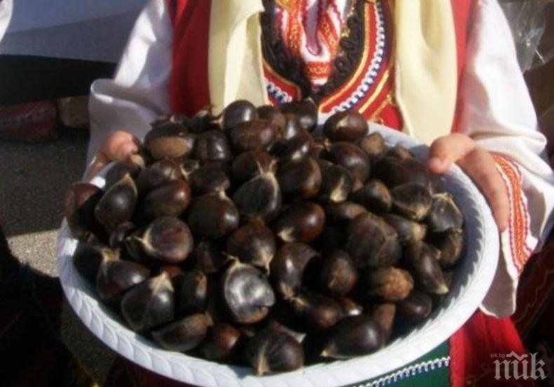 Фестивал на кестена се провежда в Петричко