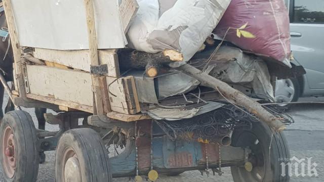 В Хасково пропищяха - цигани крият незаконна дървесина под боклуци в каруци