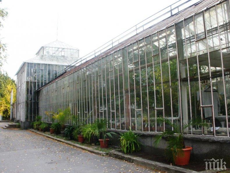 Музеите и Ботаническата градина на БАН с безплатен вход днес