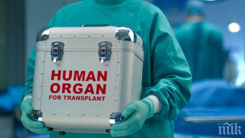 Трансплантираха четири органа на един пациент наведнъж