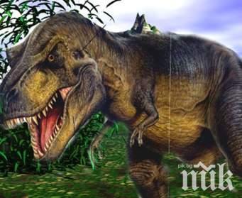 СТРАШНО ЧУДОВИЩЕ: Откриха останки от хищен динозавър със зъби на акула