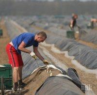 Съвместно с Европол борим трудовата експлоатация