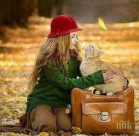 ЗВЕЗДИТЕ ГОВОРЯТ: Спъват ни непредвидени трудности, не пийте нищо студено