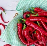 Родопчанин би рекорда - изгълта 50 люти чушки за 3 минути