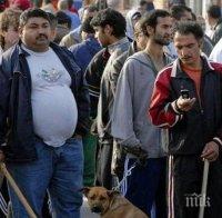 ДОКОГА: Цигани набиха кондуктор - не искали да плащат билети