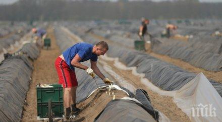 съвместно европол борим трудовата експлоатация