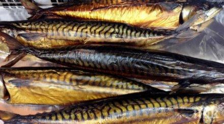 паника изтеглиха магазините 250 заразена листерия пушена риба