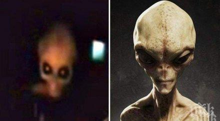 сензационна теория извънземни нашественици готвят завладеят земята правят секс хората ражда нова раса