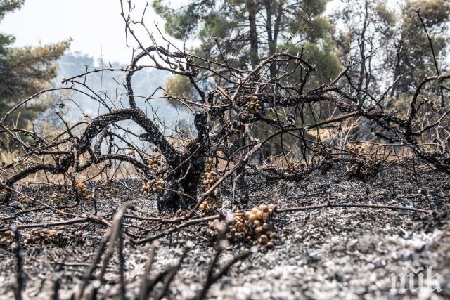 Откриха труп в пожар край Звъничево