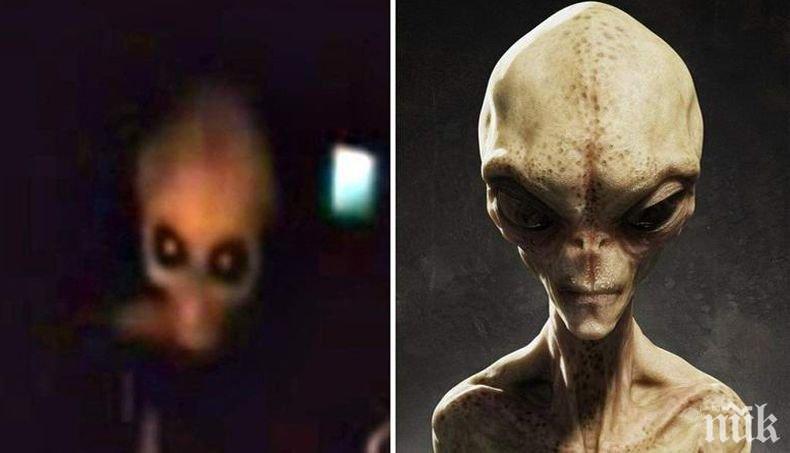 СЕНЗАЦИОННА ТЕОРИЯ: Извънземни нашественици се готвят да завладеят Земята! Правят секс с хората, ражда се нова раса
