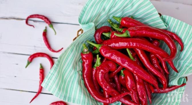 Родопчанин би рекорда - изгълта 50 люти чушки за 3 минути