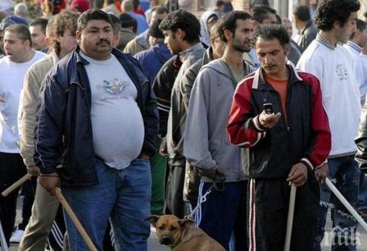 ДОКОГА: Цигани набиха кондуктор - не искали да плащат билети