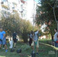 Доброволци залесиха междублокови пространства във Велико Търново
