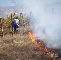 Треви и храсти горяха при пожар край Благоевград