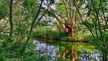Почистват коритата на реките в Разлог