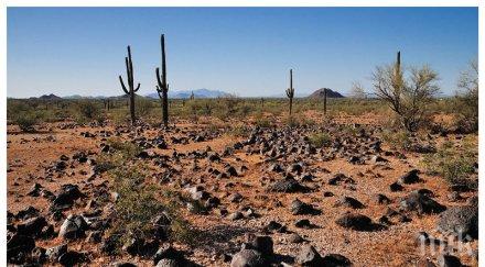 психопат уби зарови порно актриса пустинята