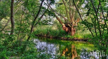 почистват коритата реките разлог