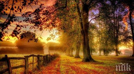 звездите говорят време веселие срещи любов хубавият продължителен секс лекува