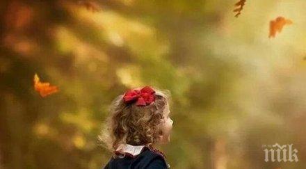 звездите говорят започвайте нищо важно купувайте важни скъпи стоки