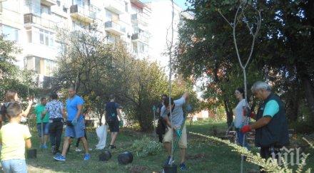 доброволци залесиха междублокови пространства велико търново