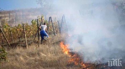 треви храсти горяха пожар благоевград