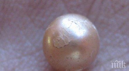 ценна находка абу даби откриха старата естествена перла света
