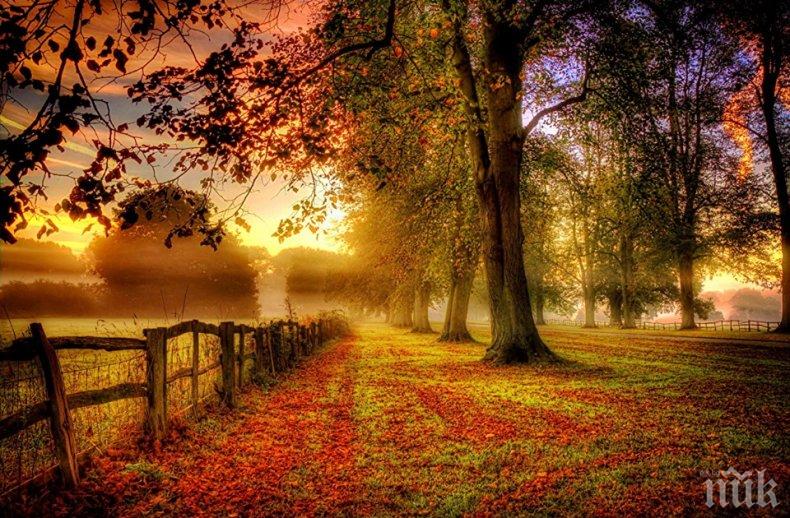 ЗВЕЗДИТЕ ГОВОРЯТ: Време е за веселие, срещи и любов - хубавият и продължителен секс лекува