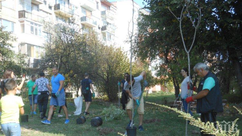 Доброволци залесиха междублокови пространства във Велико Търново