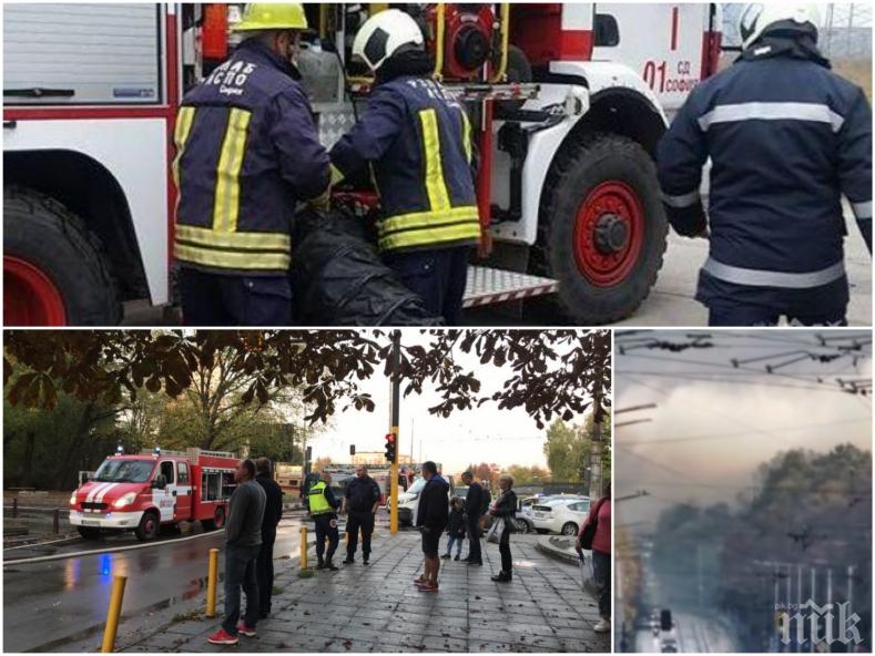 ИЗВЪНРЕДНО: Пламнаха Кошарите на столичния бул. „Черни връх” (ВИДЕО)
