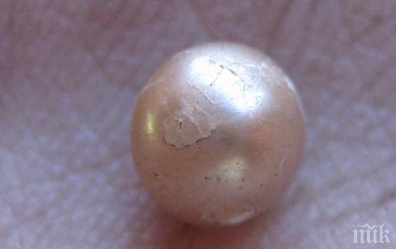 Ценна находка: Край Абу Даби откриха най-старата естествена перла в света