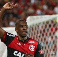 Отборът на Фламенго се класира за финал на Копа Либертадорес