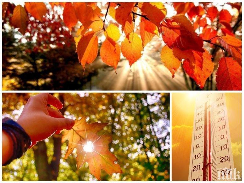 ЧУДЕСНА СЪБОТА: Златната есен продължава да ни радва - вижте само температурите... (КАРТА)