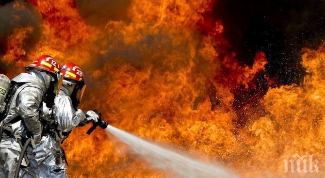 Пожар изпепели 150 декара край Гоце Делчев