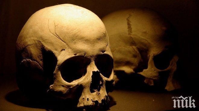 Намериха човешки кости край завод в Горна Оряховица