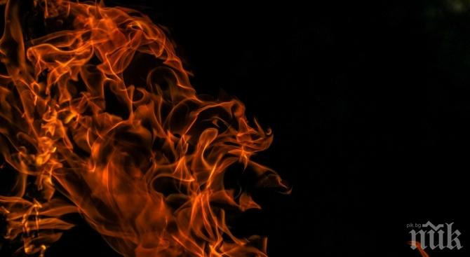 Изгоря лозов масив 