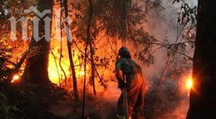 пожарът варна разпространява бясно темпо