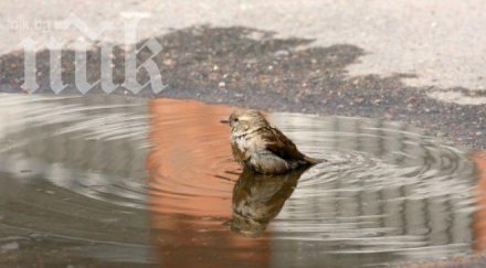 дъжд хладинка понеделник