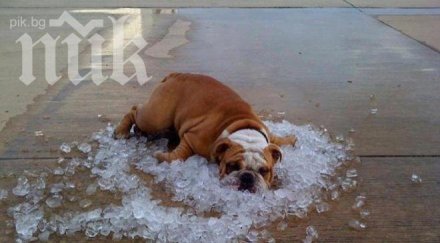 вторник започва става горещо