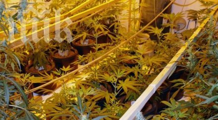 иззеха килограм дрога две селски къщи