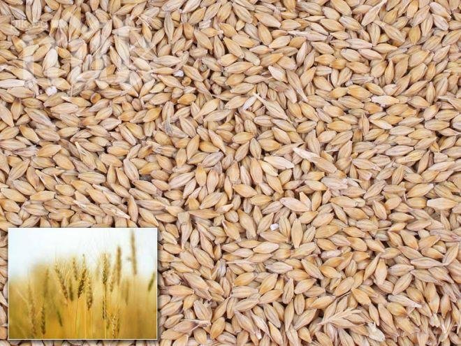 Мъж задигна машина за мелене на фуражи в Своге

