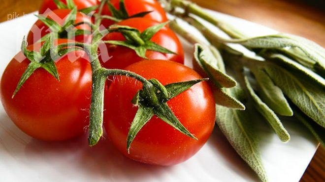 Зеленчукопроизводителите ще получат 1,5 млн. лв. субсидия