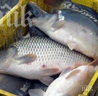 Разследват бракониер от язовир край Търговище